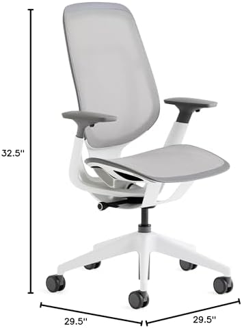 Steelcase Karman Mesh Ergonomic Desk Chair - Adjustable Desk Chair - 4 Points of Adjustability - Lumbar Support - Seagull Frame & Platinum Mesh - Thumbnail 4