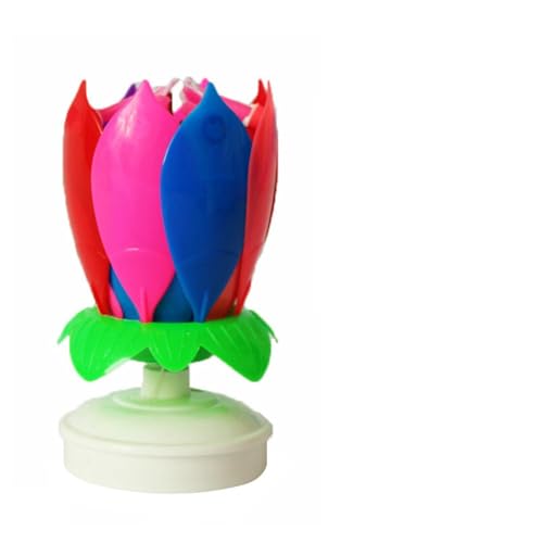 @̉Ԃ̃P[LLh̐F }WbNt[ o[Xf[Lh }`J[~[WJP[LLh a y 낤 JtɐMȂقǂ̃o[Xf[LhiFj