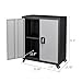 LUCYPAL Metal Storage Cabinet with 2 Doors,Steel Storage Cabinet with Adjustable Shelves and Wheels,Locking Tool Cabinets for Office,Home,Garage,Black&Grey 31.5