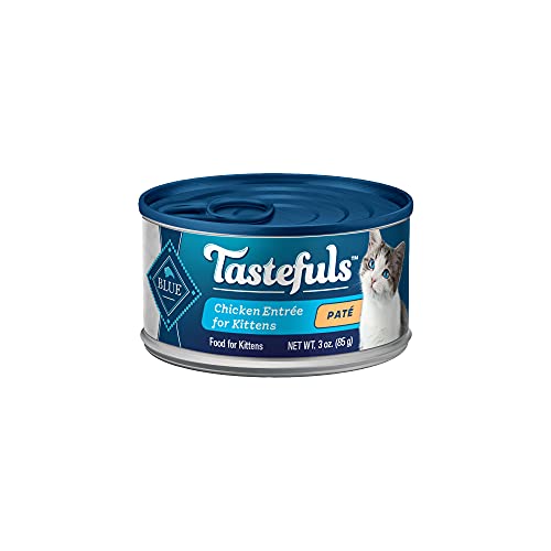 https://m.media-amazon.com/images/I/3186ZO2x+mL._SL500_.jpg