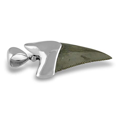 Fossil Giant Great White Shark Tooth Sterling Silver Cap-Set Pendant #TOP3