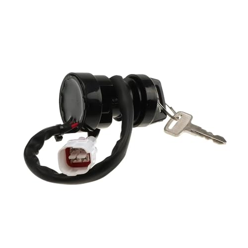 Bobinas de encendido compatibles con Warrior, Banshee e interruptor de llave 6