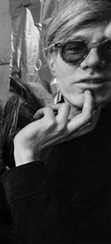 Fink on Warhol: New York photographs of the