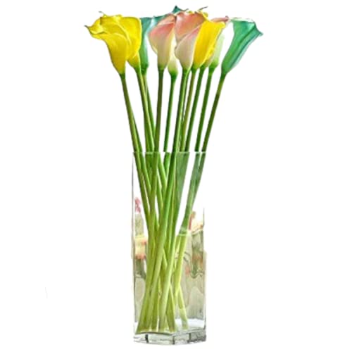 Image of Home Decoration Glass Clear Cylinder Vase Floral Wide Cylinder Glass Vase for Weddings, Events, Decorating, Arrangements, Flowers, Office, or Home Decor (10 Inch, 3)