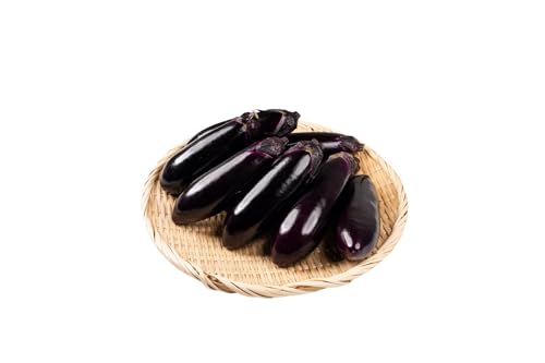 ≪TVで話題!≫とげなし茄子 20本 ナス 茄子 なす なすび 野菜 旬 旬の野菜 糖度 石田茄子 トゲなし とげなし お取り寄せ 健康 夕飯 おかず 愛知県 豊橋市 1万円 10000円