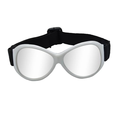 Ywmsfl Winproof Dogs Suitable for Large Dogs Pet Glasses for Snow Beach Outdoor Snow Sports Eye Wear