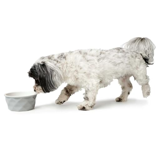 Hunter EIBY Keramik-Napf, Futter- und Trinknapf, rutschhemmend, 1100 ml, grau