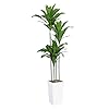 Artificial Dracaena Tree 5FT Faux Tree with White Tall Planter Fake Dracaena Plants Tropical Yucca Floor Plant in Pot Artificial Silk Tree for Home Decor Office Living Room Indoor Housewarming Gift