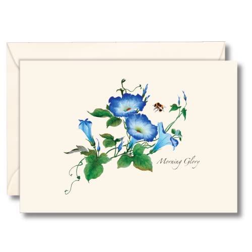 Image of Earth Sky + Water - Morning Glories Notecard Set - 8 Blank Cards with Envelopes