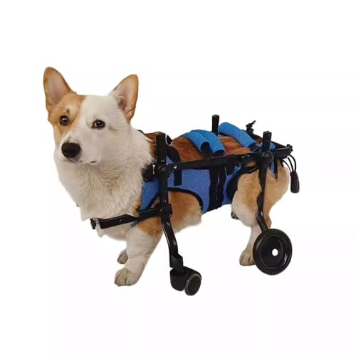 Fauteuil roulant pour chien avec attelle de jambe et support hanches réglable - 2
