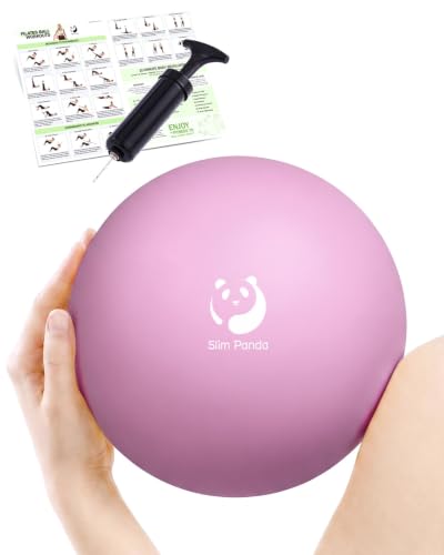 Slim Panda 20 cm Pilates Ball with Hand Pump
