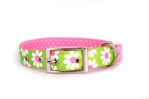 Yellow Dog Design Green Daisy Uptown Dog Collar Fits Neck 24 to 27', X-Large/1' Wide, (UP-GD104XL-PD)
