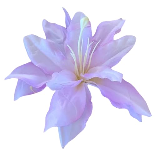 lHXC[gt[wANbv ̎qp qp ob^ t[ nhCh wAs u[wAs