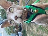 Review Image by J. Blair J. Blair