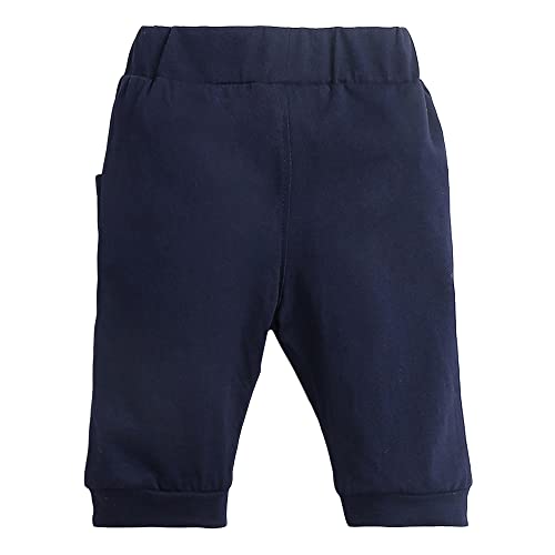 Hopscotch Boy's Cotton Striped Stripes Bear Print Half Sleeves T-Shirt And Joggers Set