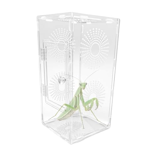 Recinto de arañas de acrílico transparente y transpirable para reptiles 7