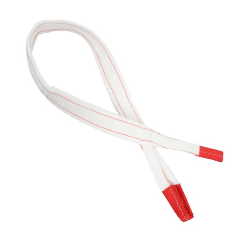 SOLUSTRE Heavy Duty Lifting Sling Strap Endless Lifting Sling Industrial Flat Webbing Sling 3t 2m White Polypropylene Crane Tow Strap Wear-Resistant Safety