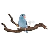 Kathson Natürliche Papageien-Sitzstange Vogelstandstange Wilde Weinreben-Krallpflege-Gabel Sittich Kletter-Äste Spielzeug Kauspielzeug Käfigzubehör für kleine Wellensittiche Nymphensittiche Unzertrenn