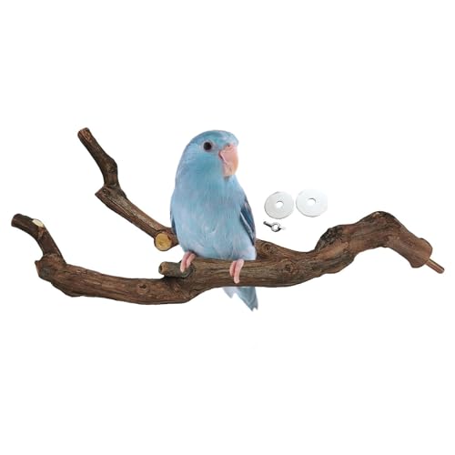 Kathson Natürliche Papageien-Sitzstange Vogelstandstange Wilde Weinreben-Krallpflege-Gabel Sittich Kletter-Äste Spielzeug Kauspielzeug Käfigzubehör für kleine Wellensittiche Nymphensittiche Unzertrenn