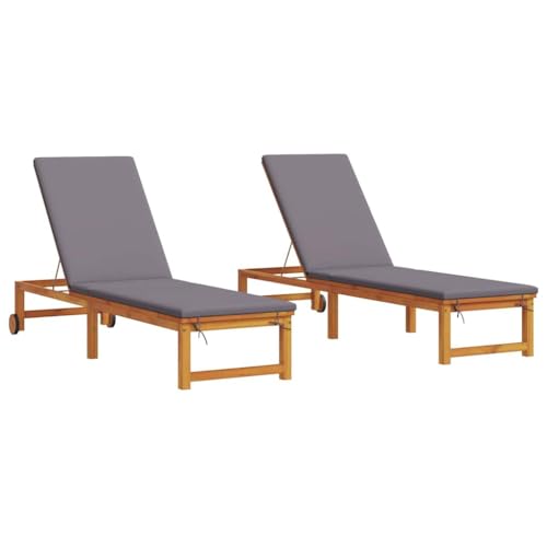Lit de soleil de jardin marron résistant aux intempéries avec dossier