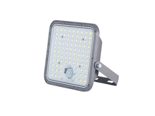 Galix Projecteur LED solaire 2000 Lumens avec détecteur de présence et panneau déporté