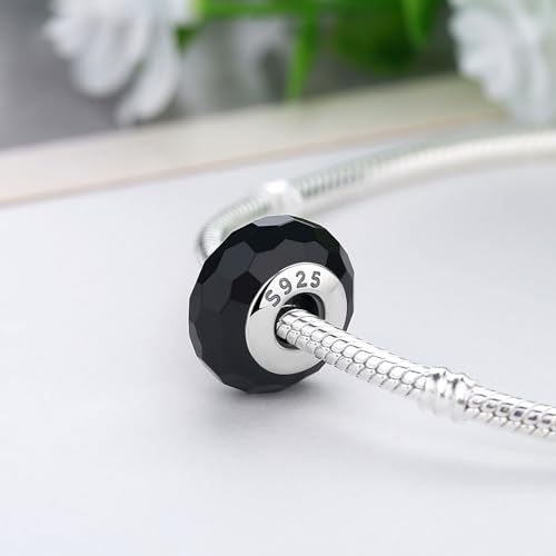 Nbsameng Murano Glass 925 Sterling Silver Charms Transparent Flower Bead Multiple Colors for Women Bracelet & Necklace Jewelry Gifts3