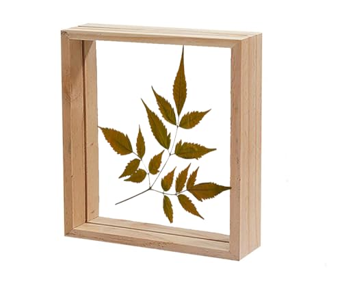 Image of Desi Rang Wooden Frame for Wall Decor Table top Hanging Any Green or dry plant Leaf Picture Photo DIY Gift Home decoration (Natural,Square,7x7 inch,with Dry Leaf)