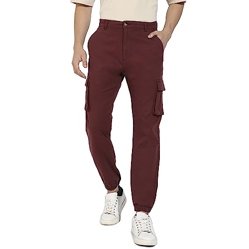 Campus Sutra Men's Regular Fit Cargo Pants (CBCS22_CSMSSCR5569_Maroon_36)