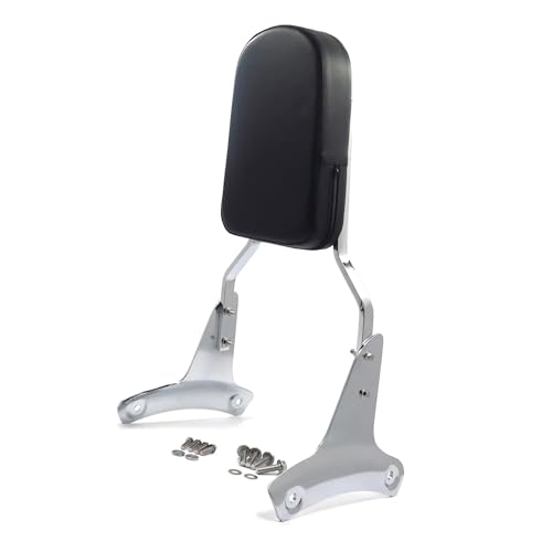 Dossier passager moto pour escapades en duo en Shadow VT750 VT400 ACE