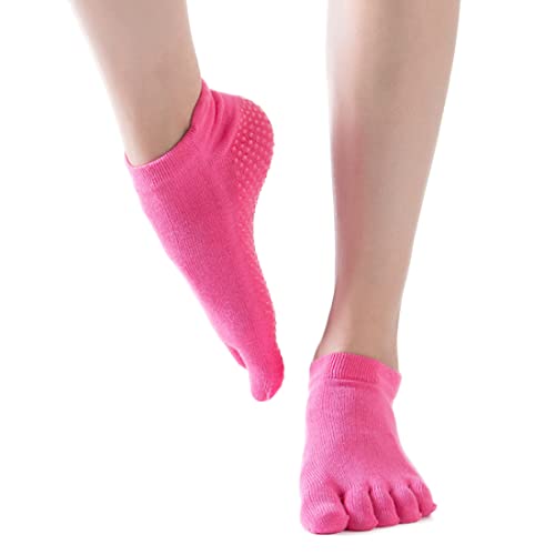 [AVILMORE] K \bNX 5{w\bNX ~ X|[c\bNX seBX GNTTCY C fB[X (sN)