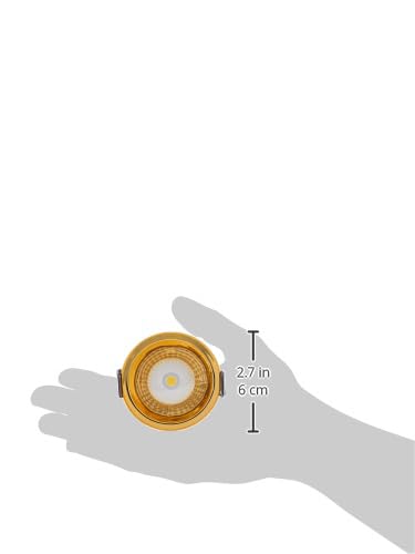 Image of Panasonic 7 Watt Deep Recessed COB False Ceiling Light, Recessed Downlight for Home, Shop, Museum, Restaurant with 56mm Cutout, Gold Reflector COB Light, Warm White Light (PDLM45073)