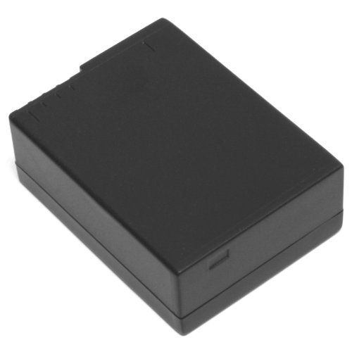 Amazon.com : Wasabi Power Battery for Sigma BP-51 and Sigma dp1