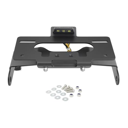 Support plaque d'immatriculation Rebel 1100 avec LED et cadre arrière moto