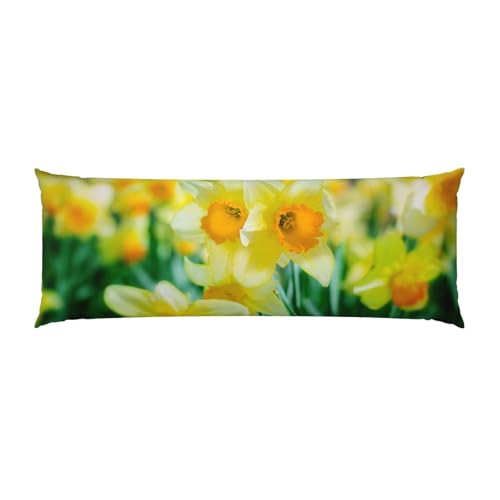 Taie d'oreiller rectangulaire 50x137 cm imprimé fleurs de jonquille