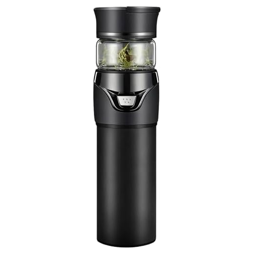 Double Wall Glass Tea Infuser Bottle