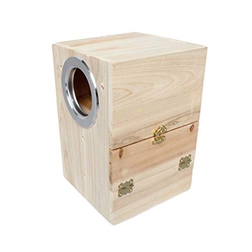 Perroquet nichoir en bois robuste pour créer un espace oiseau nature