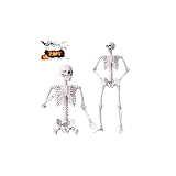 Descholle 7.9 FT Giant Skeleton