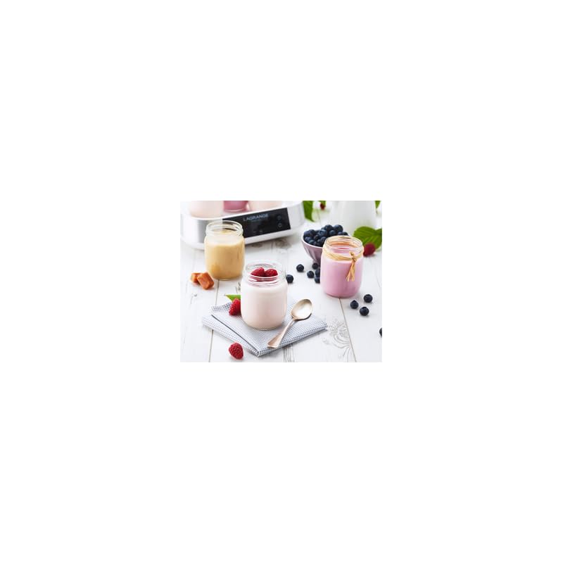 Yaourtière Fromagère Lagrange Ligne 459605 Argent