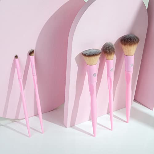 Brushworks - Set completo viso HD