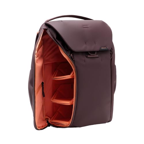 Everyday Backpack V3 20L