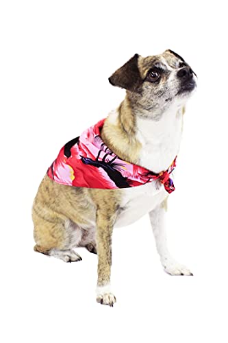 Image of Hawaii Hangover Family Matching Hawaiian Clothes, Sunset Red | Family matching Hawaiian outfits, Sunset Red, lightweight rayon, machine washable, tropical floral print, luaus, cruises