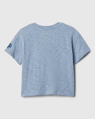 Image of Gap Kids Girl Relaxed Fit Graphic Print Shortsleeves Round Neck T-Shirt
