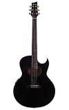Ibanez Euphoria 5 Acoustic Guitar (Black Pearl)