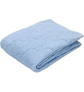 Amazon｜【Amazon限定】nishikawa 【 西川 】セブンデイズ 掛け布団