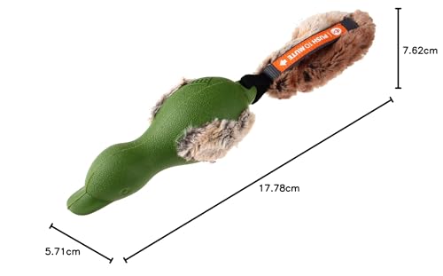 GiGwi Gummi-Ente Hundespielzeug 'Push to Mute' leise und quietschendes Spielzeug interaktiv mit Plüschschwanz - Grün