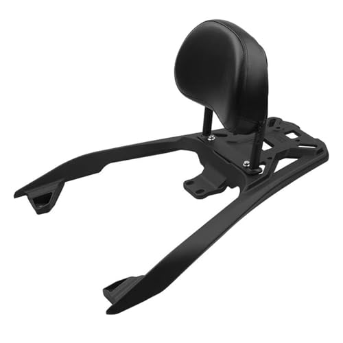 Respaldo para pasajero con parrilla de carga para Loncin LX250T