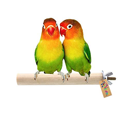 Western Era Perch/Stand Bird Toy (Small & Medium Birds) (6 Inches) (B081RC7JY4) Amazon Price History, Amazon Price Tracker