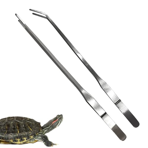 Pinzas de alimentación para reptiles, pinzas rectas y curvadas de acero inoxidable | Herramienta de precisión de 10.6 pulgadas para manualidades y plantas acuáticas, acero inoxidable, rectas y