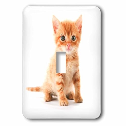 Interrupteur à baïonnette chaton orange 3dRose LSP_44771_1 décoratif - 2