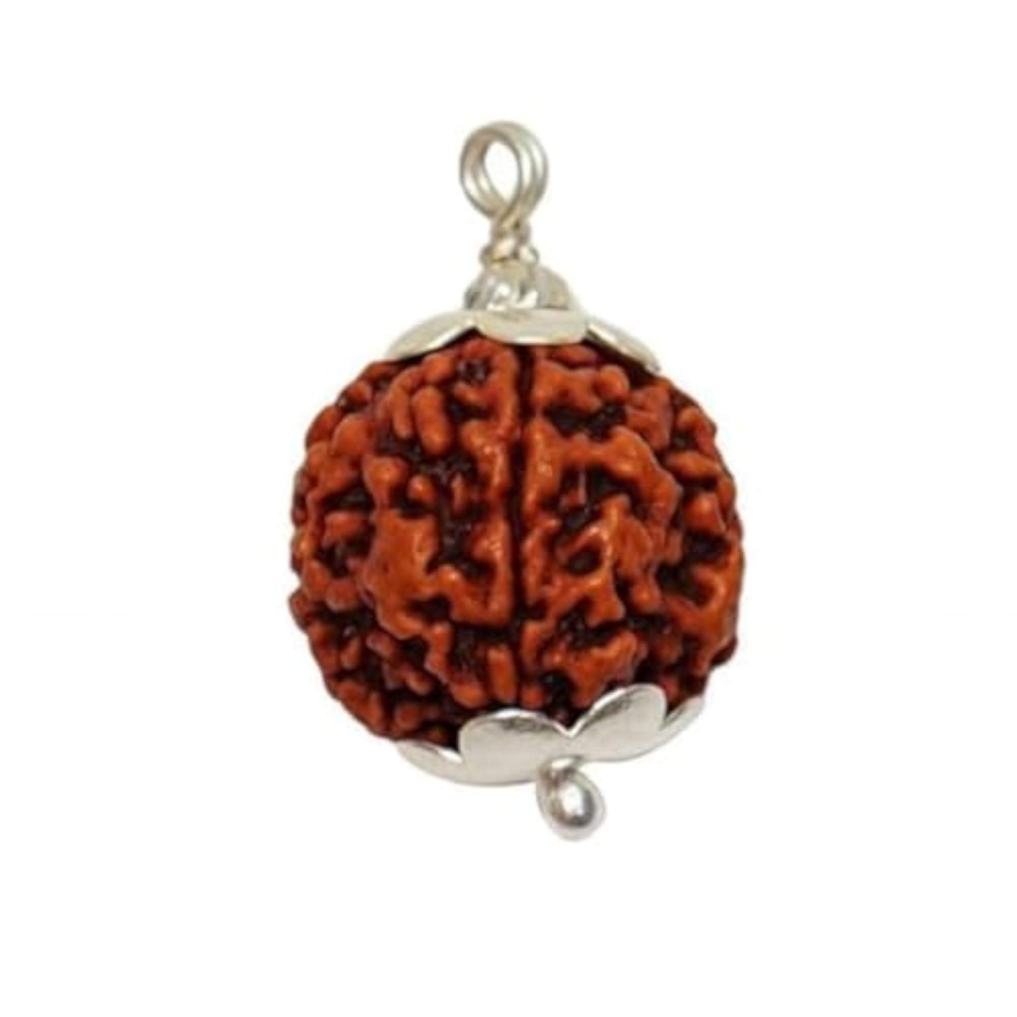 5 Mukhi Rudraksha Pendant with Silver Capping